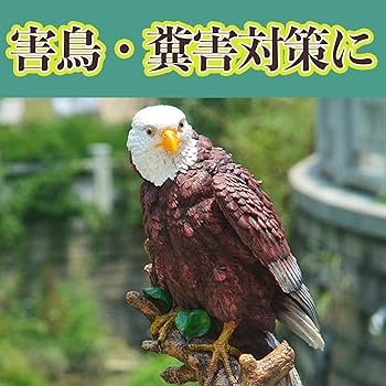 鷹の置物　西 楽天市場】【残り1点！】鷹（鷲）真鍮 置物 銅 置物 : 福和屋